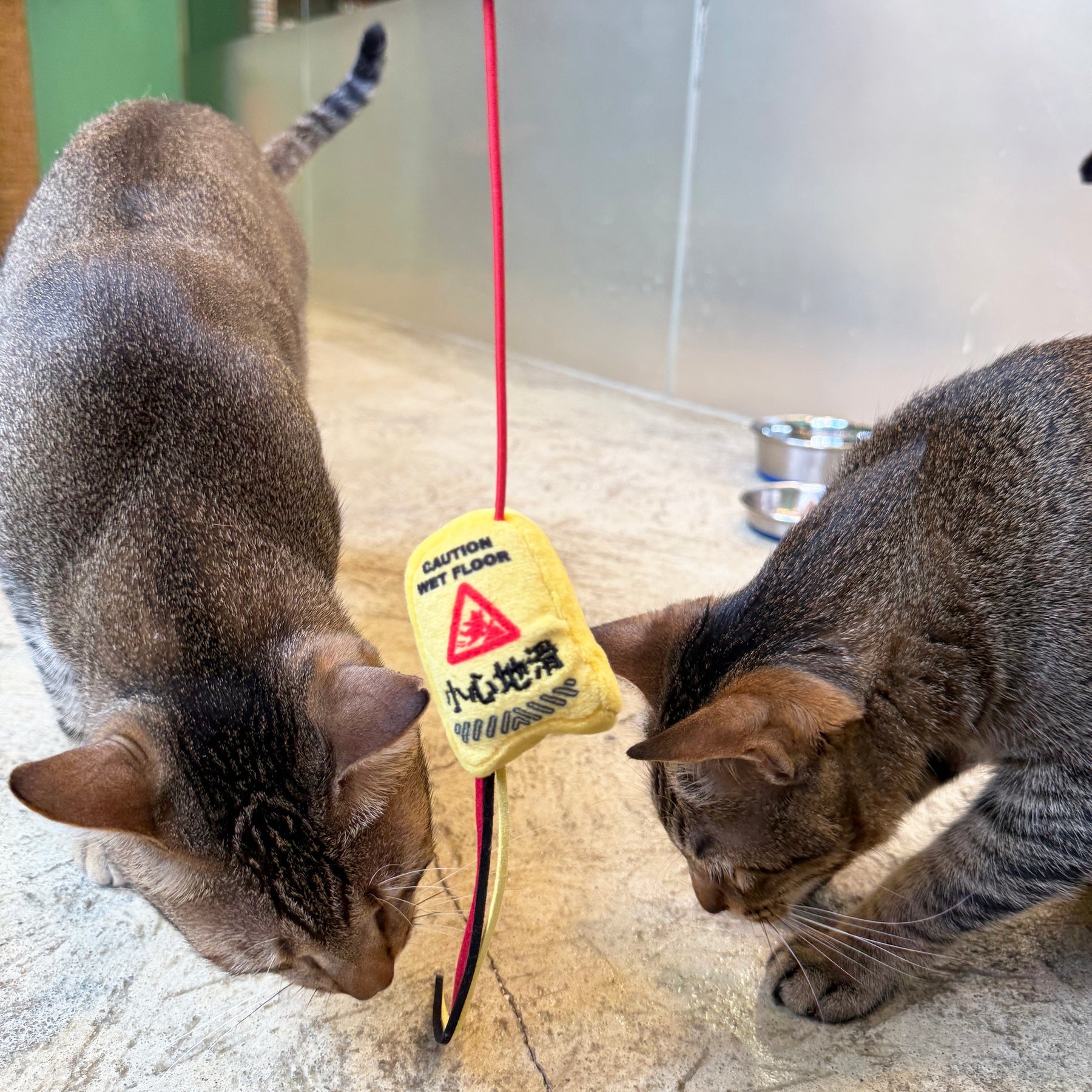 Meow_小心地滑警告牌逗貓棒