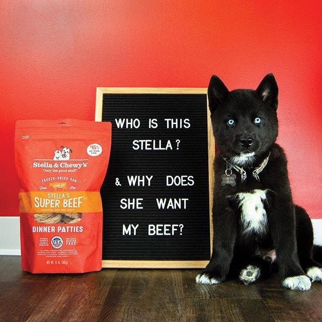 Stella & Chewy's 凍乾狗糧脫水肉餅 - 牛魔王 牛肉 配方