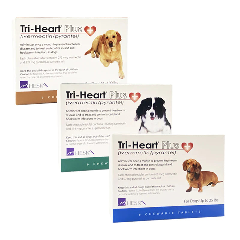Tri-Heart Plus 心絲蟲藥