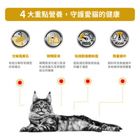Royal Canin - VHN Cat Urinary Moderate Calorie成貓泌尿道處方濕糧 (低卡路里) 85g