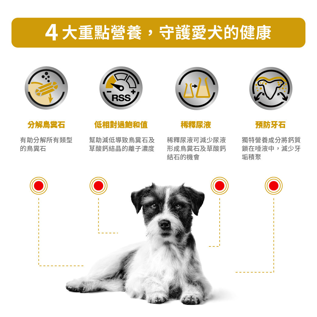 Royal Canin - VHN Urinary Small Dog小型成犬泌尿道處方糧