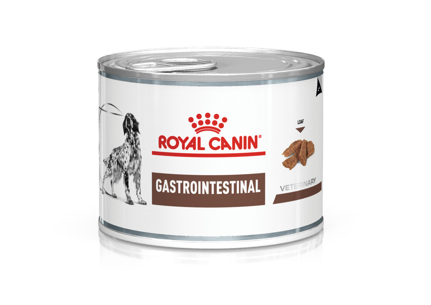 royal_canin_vhn_dog_gastrointestinal_low_fat_200g