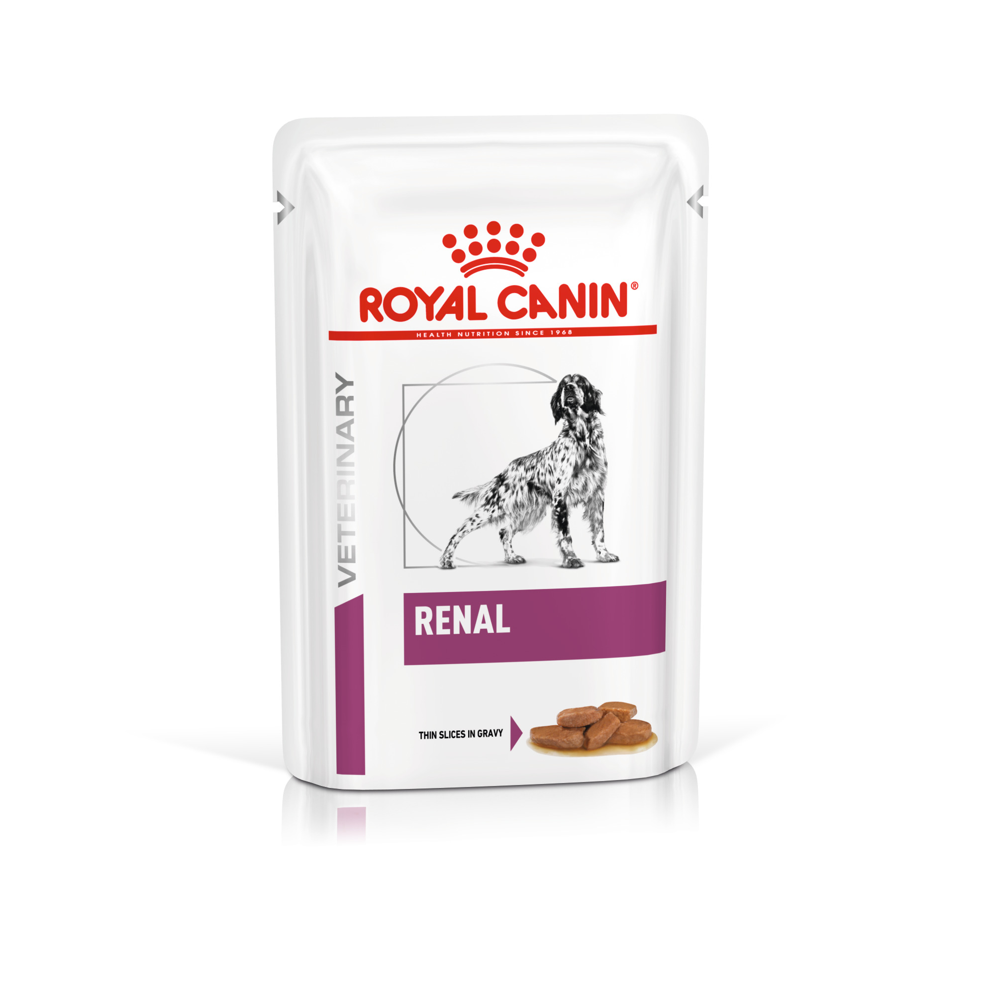 royal_canin_vhn_dog_renal_pouch_100g