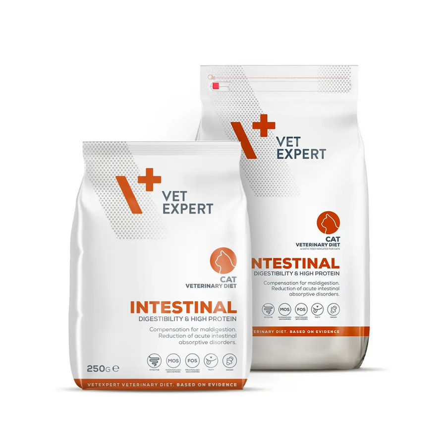vet_expert_v_intestinal_cat_dry_food_2k