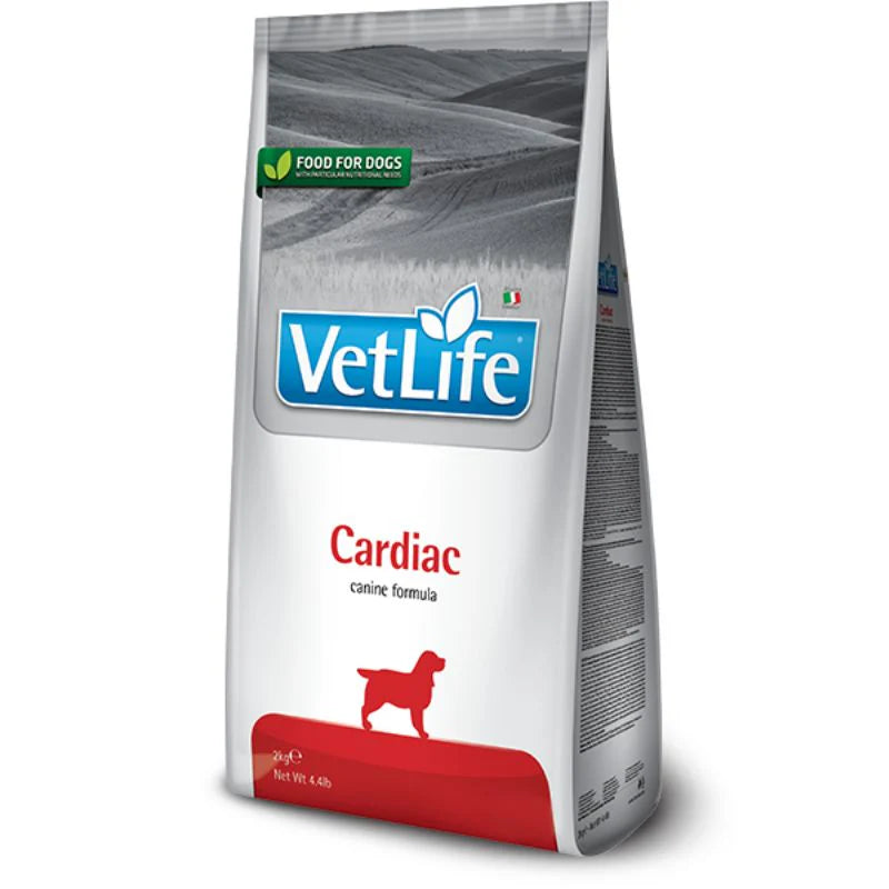 vet_life_dog_cardiac