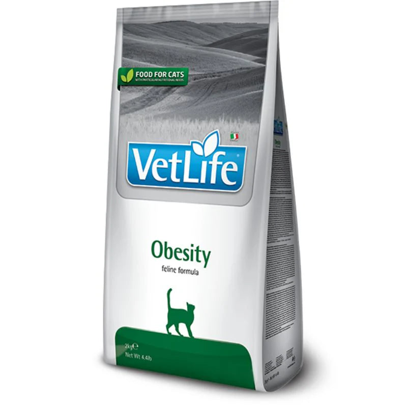 vet_life_cat_obesity