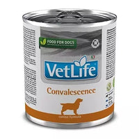 vet_life_dog_convalescence_wet