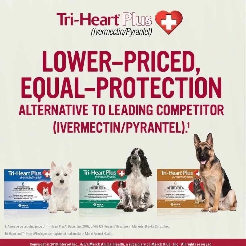 Tri-Heart Plus 心絲蟲藥