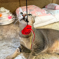 Meow_香港懷舊信箱逗貓棒