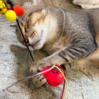 Meow_香港懷舊信箱逗貓棒