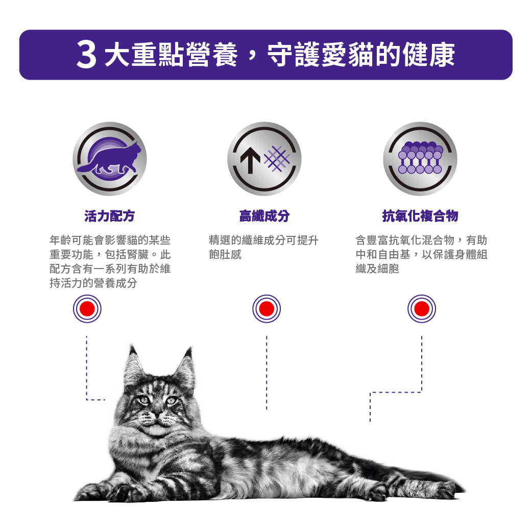 Royal Canin - VHN Cat Mature Consult Balance 老年貓均衡營養保健配方
