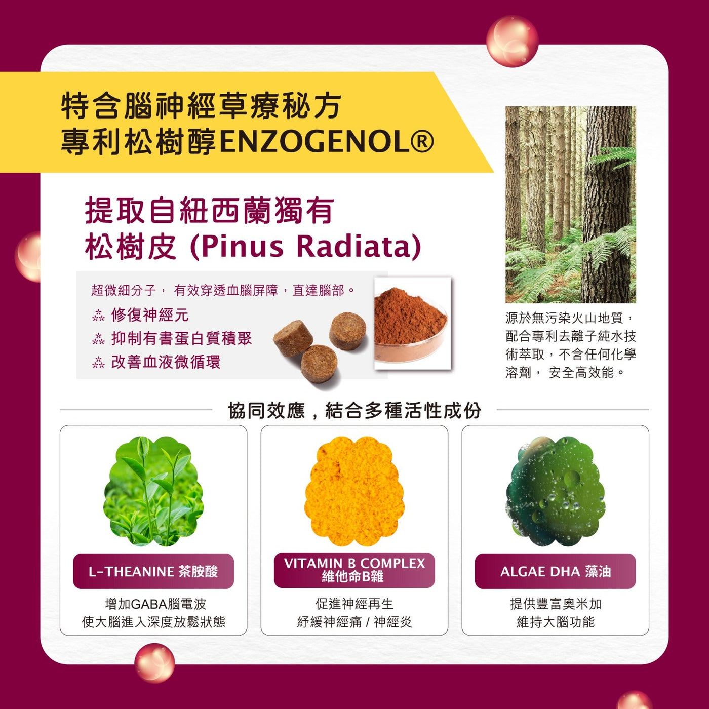 Kiwivital Enzoboost 60 chew 寵物腦神經醫學級草療營養補充粒 60 粒 (包裝)