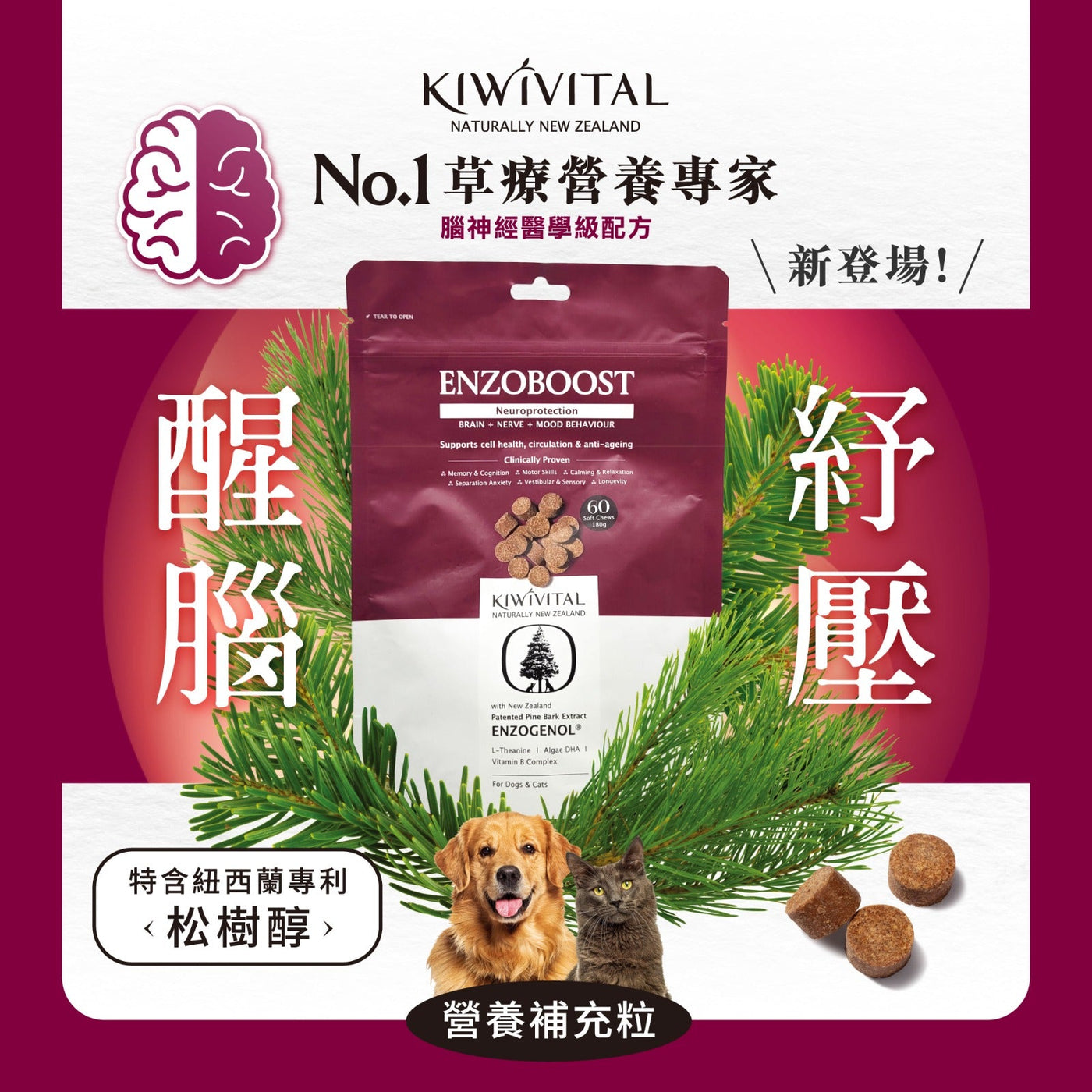 Kiwivital Enzoboost 60 chew 寵物腦神經醫學級草療營養補充粒 60 粒 (包裝)