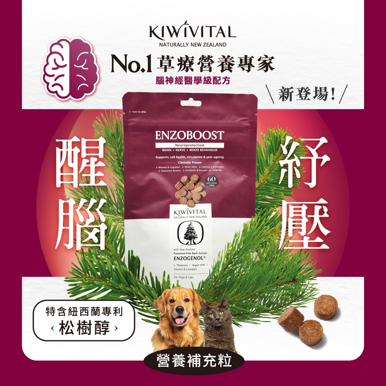 Kiwivital Enzoboost 60 chew 寵物腦神經醫學級草療營養補充粒 60 粒 (包裝)