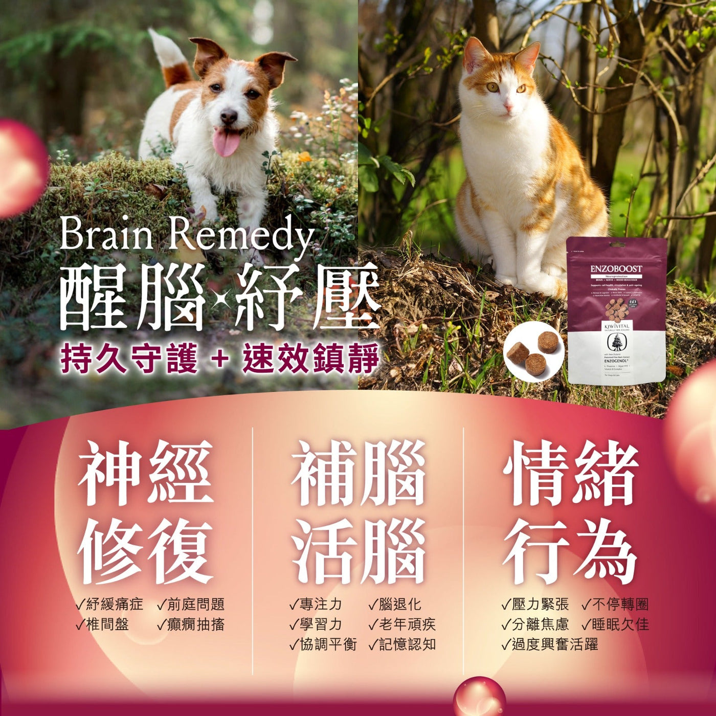 Kiwivital Enzoboost 60 chew 寵物腦神經醫學級草療營養補充粒 60 粒 (包裝)