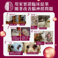 Kiwivital Enzoboost 60 chew 寵物腦神經醫學級草療營養補充粒 60 粒 (包裝)