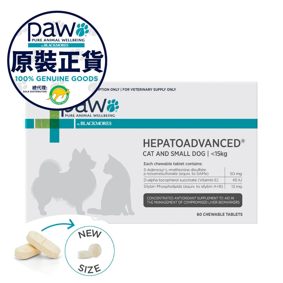 PAW HEPATOADVANCED CAT & SMALL DOG, 60 Chewable Tablets 肝臟高效護理配方咀嚼片 (貓隻及小型犬) 60粒裝