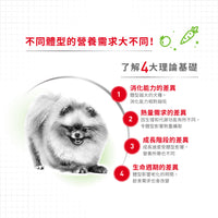 Royal Canin 法國皇家狗乾糧 - 超小型成犬8+營養配方 X-Small Adult 8+