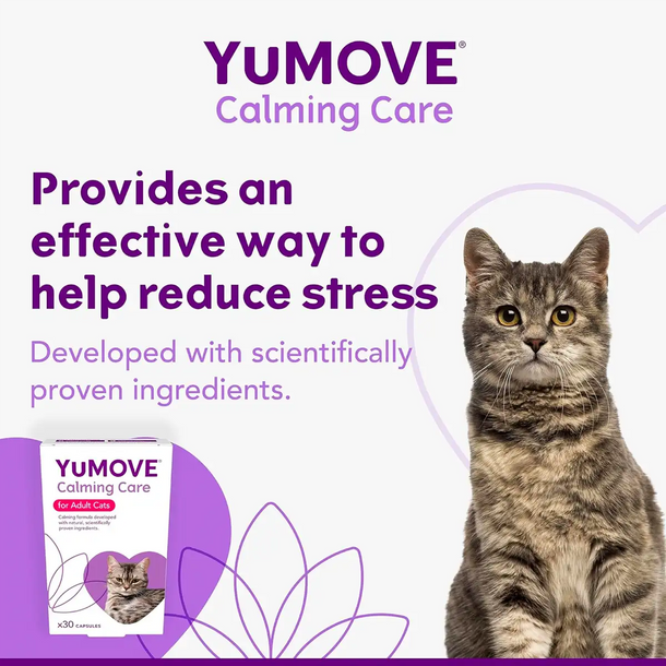 LINTBELLS_YuCalm_貓用寧神寶_情緒穩定保健品_(30粒)