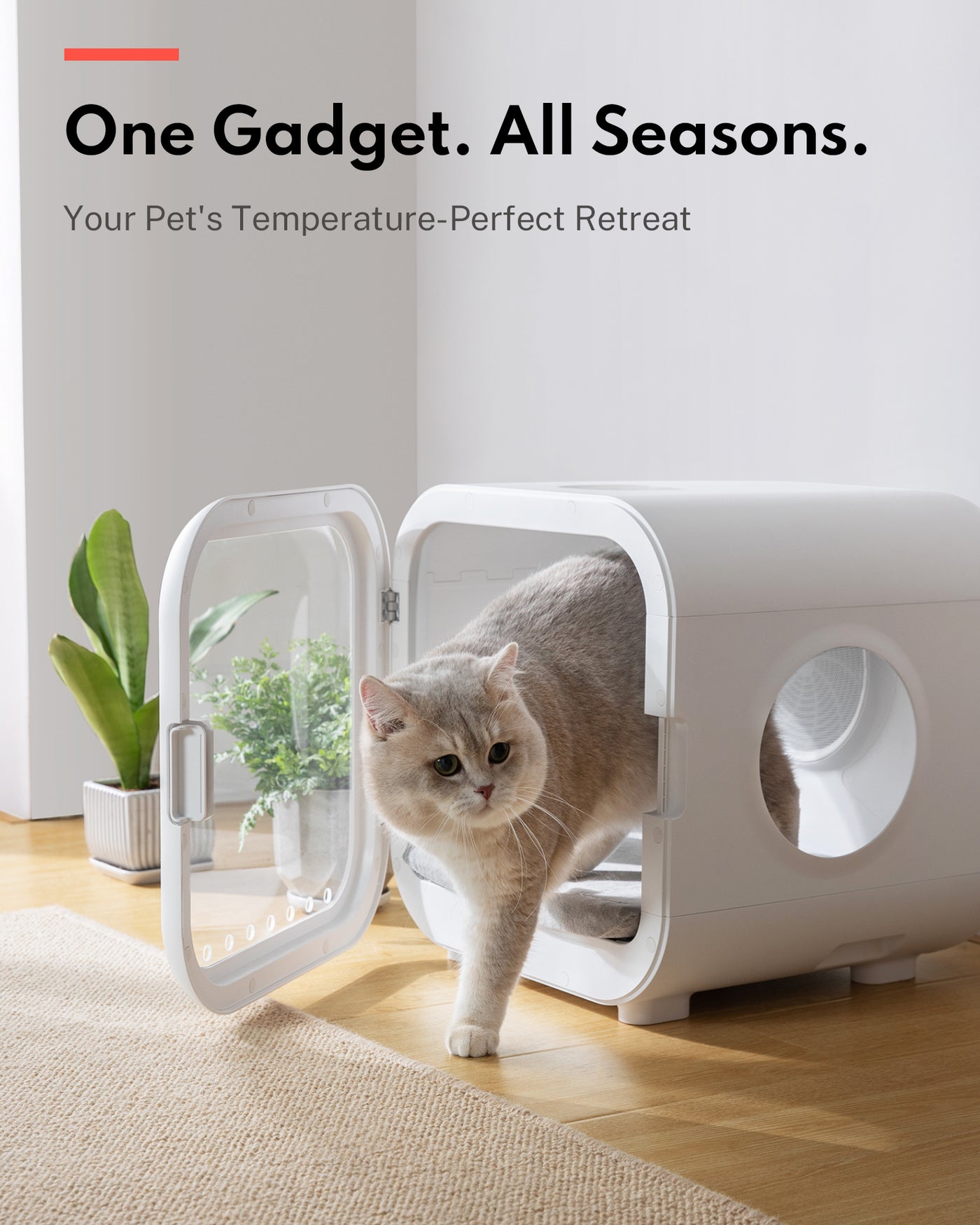 Homerunpet_寵物烘毛機