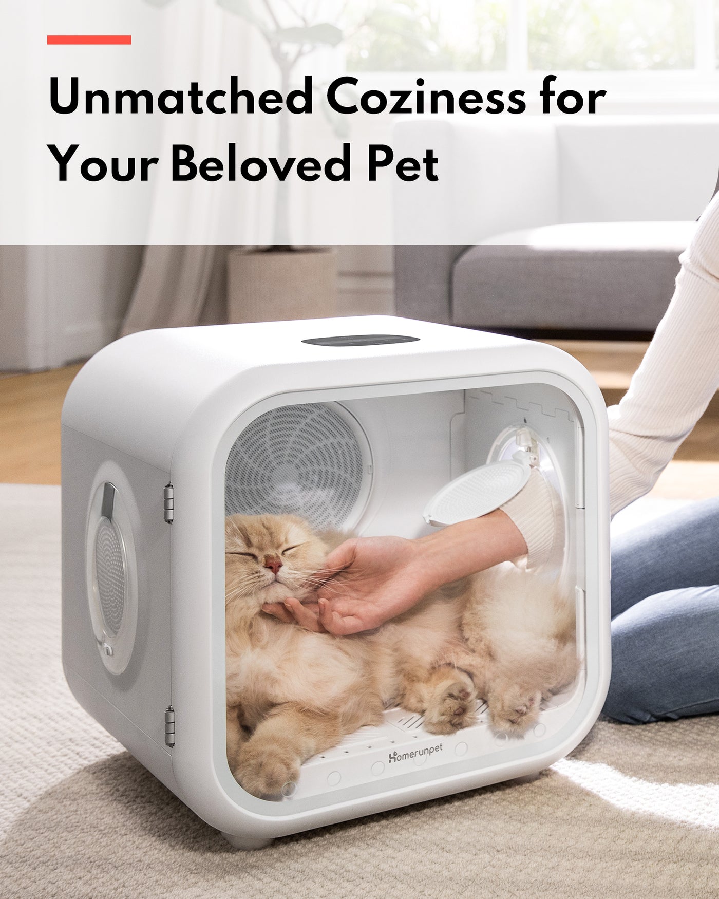 Homerunpet_寵物烘毛機