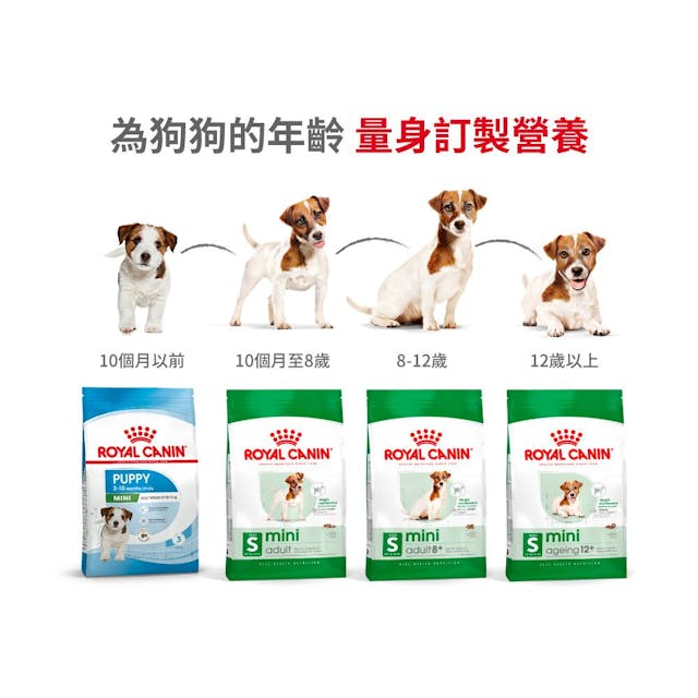 Royal Canin 法國皇家老狗乾糧 - 小型老犬12+營養配方 Mini Ageing 12+ 1.5kg