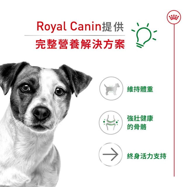 Royal Canin 法國皇家老狗乾糧 - 小型老犬12+營養配方 Mini Ageing 12+ 1.5kg