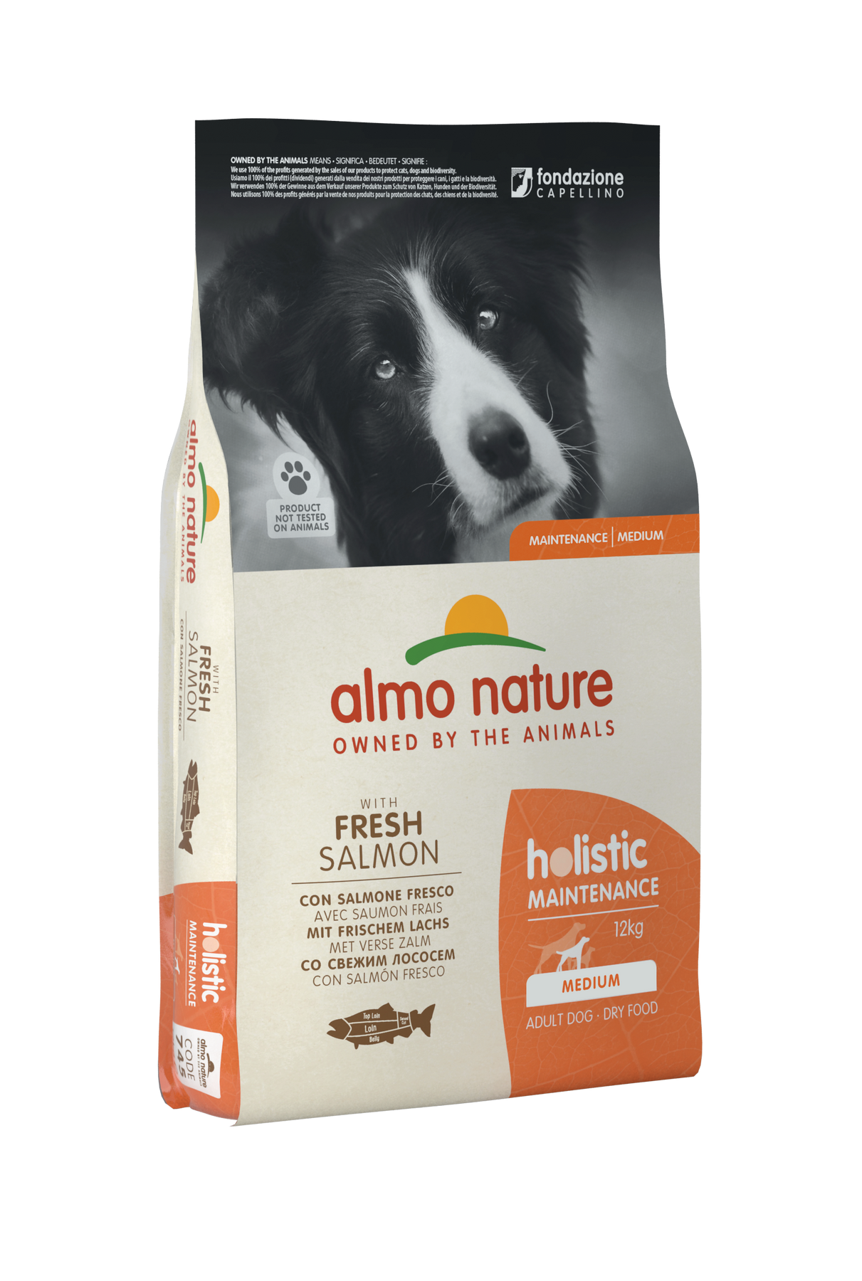 Almo Nature 狗乾糧 - Holistic 中大型犬 - 三文魚配方 12kg