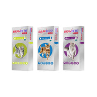 Bravecto Plus Spot-on For Cats 長效全方位貓用滴劑