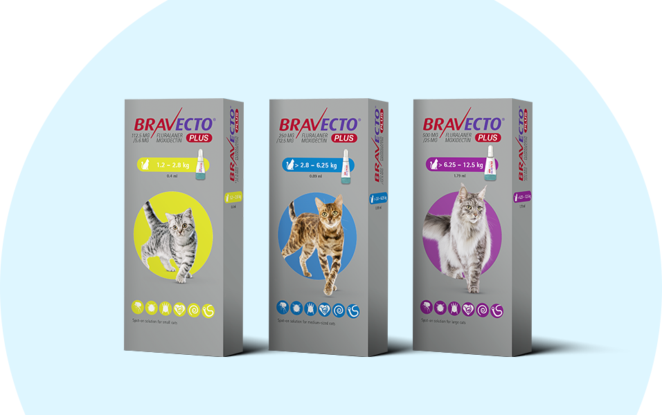 Bravecto_Plus_Spot-on_For_Cats_長效全方位貓用滴劑