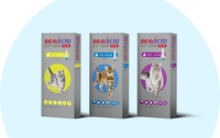 Bravecto_Plus_Spot-on_For_Cats_長效全方位貓用滴劑