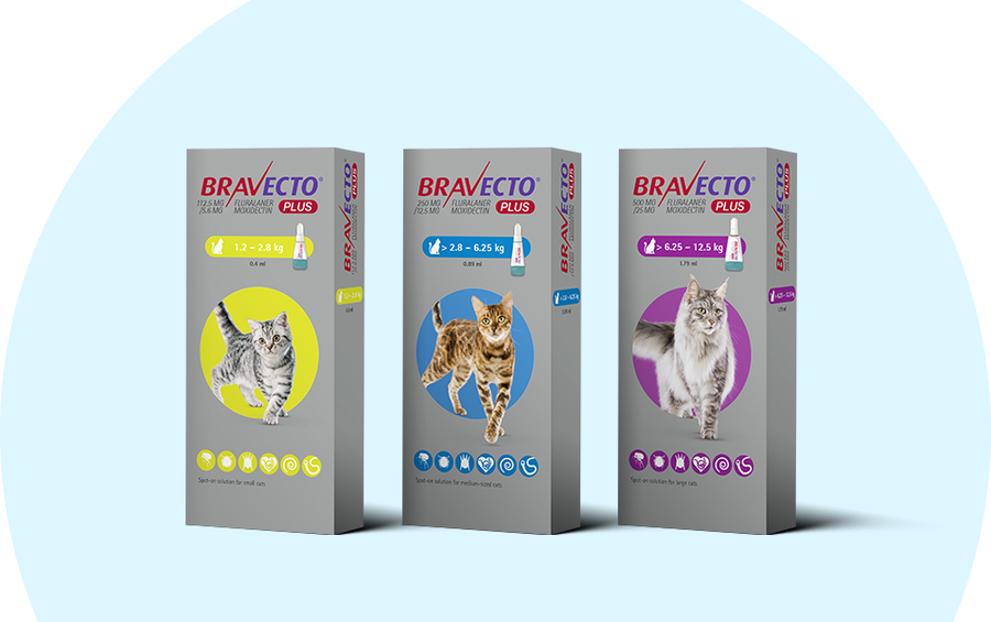 Bravecto_Plus_Spot-on_For_Cats_長效全方位貓用滴劑