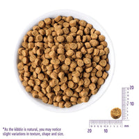 wellness_complete_grain_free_cat_food_indoor_salmon_herring