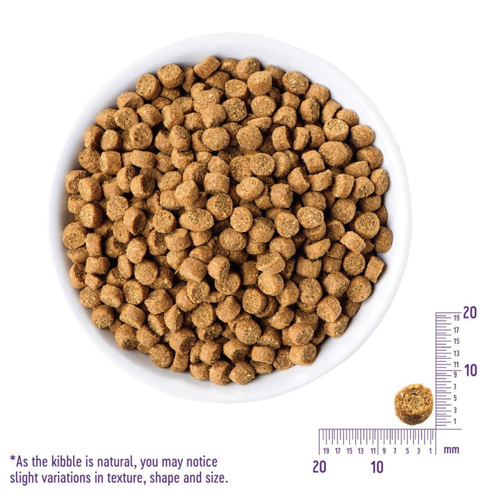 wellness_complete_grain_free_cat_food_indoor_salmon_herring