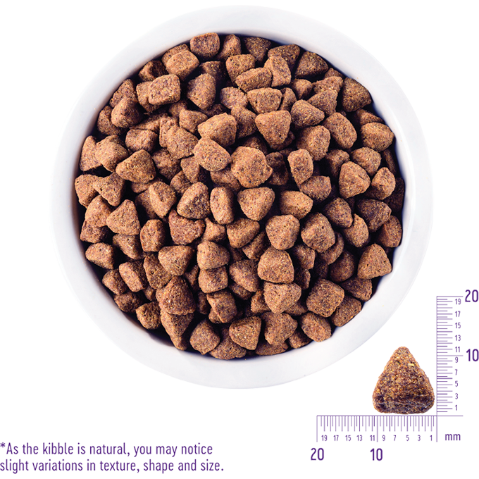 wellness_core_original_chicken_dog