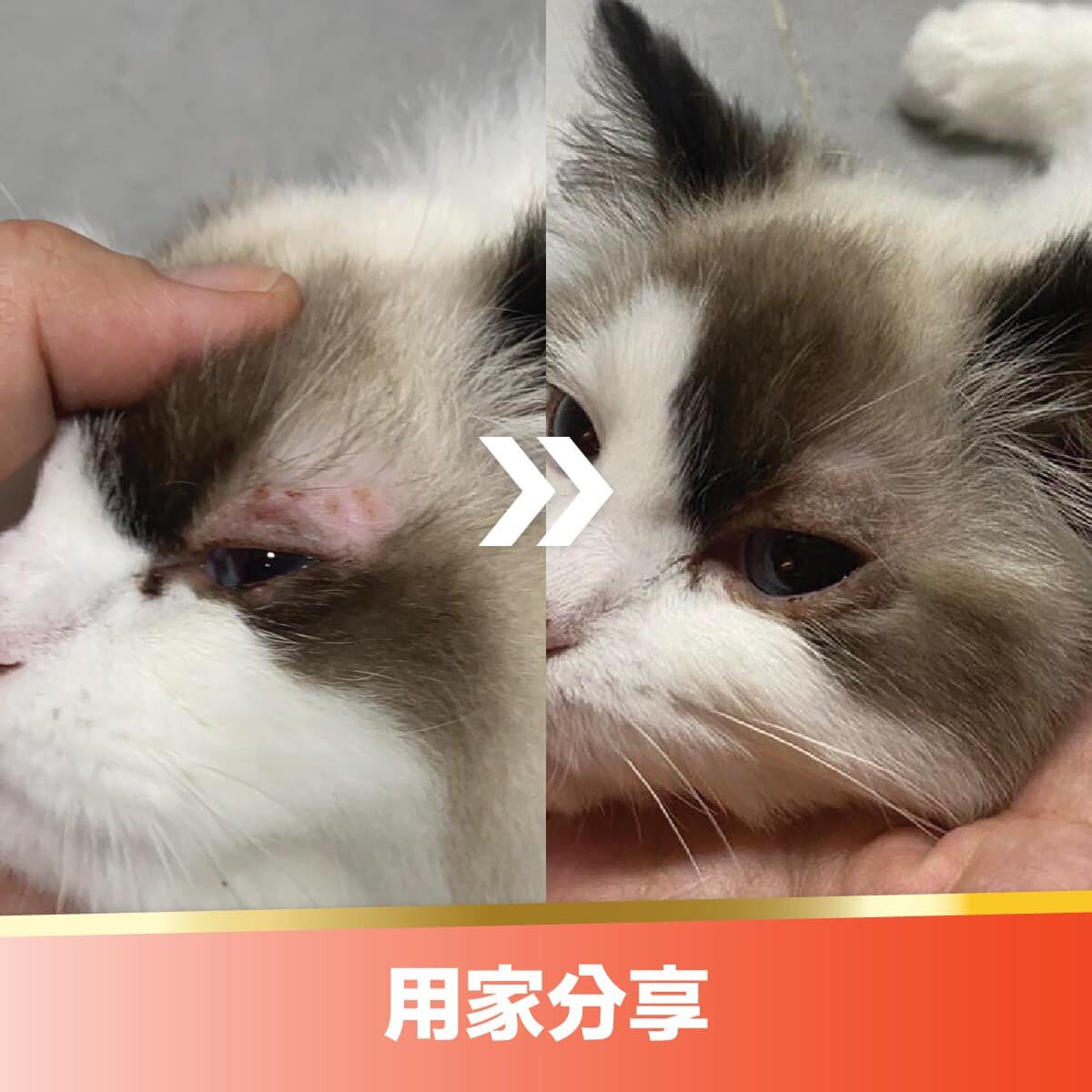 BIORESCUE 古樹寧古樹芯素寵物皮膚修護噴霧 (無類固醇,無藥性) 120毫升 SKIN THERAPY SPRAY 120ML