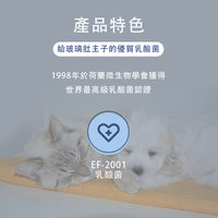 H&JIN 乳酸菌(藍色) 1g x 30包裝