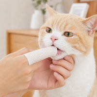 CAT DOG 去離子水潔齒菌手指套 (50片) KING Teeth Cleansing Fing Cots 50pcs