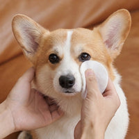 CAT DOG KING 生物酶淚痕潔淨濕巾 (120片) Tear Stain Remover Wipes 120 sheets