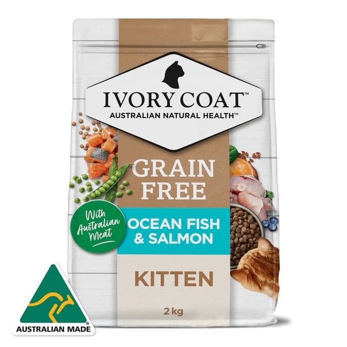 ivory_coat_kitten_ocean_fish_salmon_dry