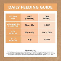 ivory_coat_kitten_chicken_dry