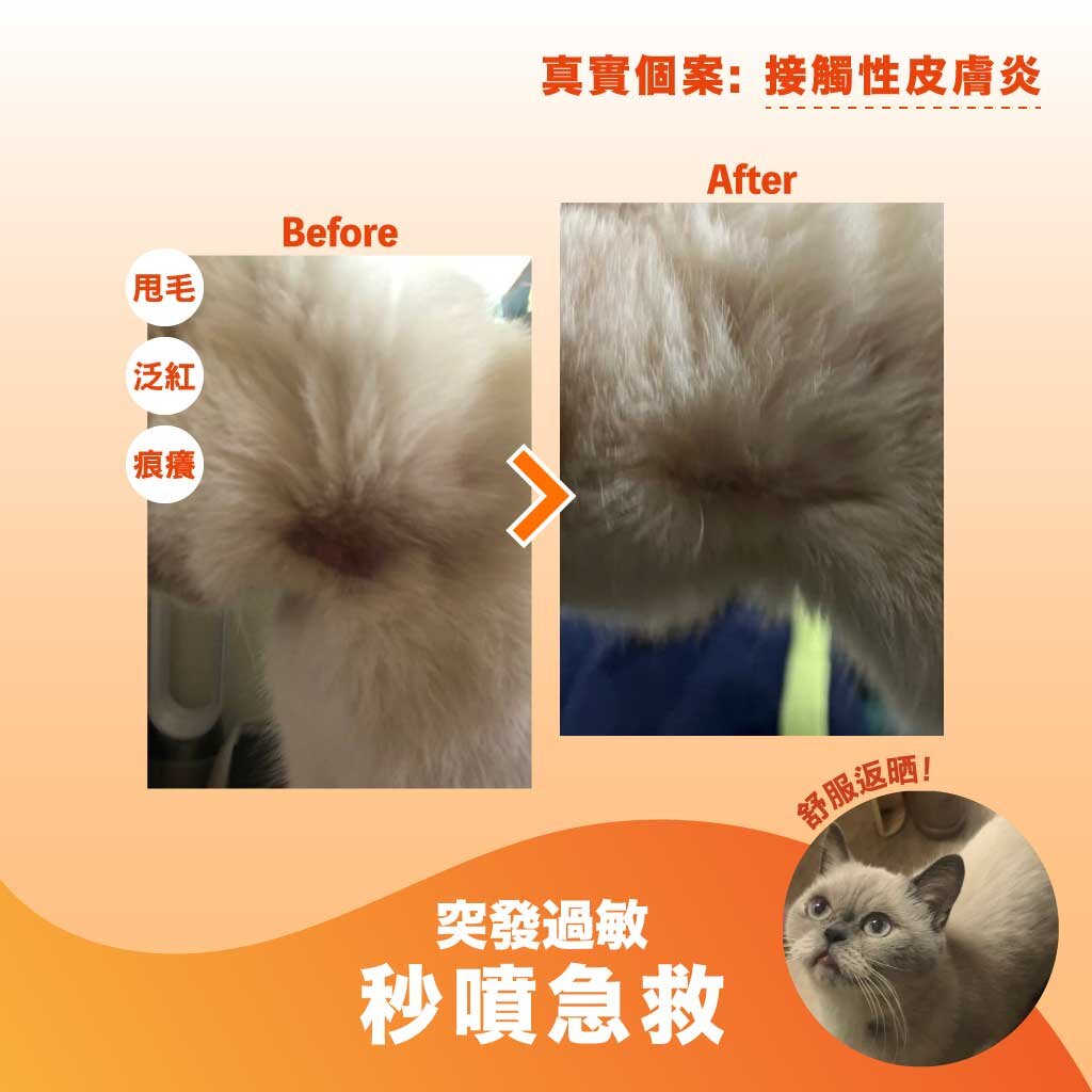 BIORESCUE 古樹寧古樹芯素寵物皮膚修護噴霧 (無類固醇,無藥性) 120毫升 SKIN THERAPY SPRAY 120ML