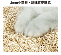 PETKIT_隱血測試混合貓砂