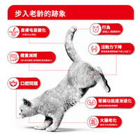 royal_canin_senior_ageing_11_years_cat_dry_food