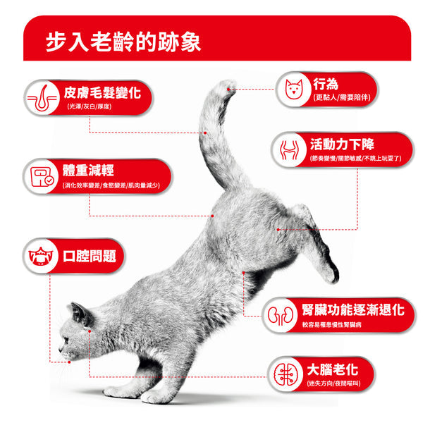 royal_canin_ageing_11_cat_wet_food_in_gravy_85g