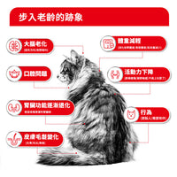 royal_canin_senior_ageing_15_years_cat_dry_food