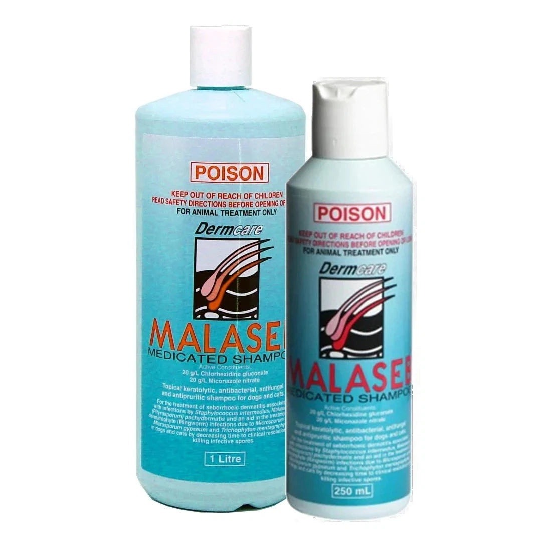 Malaseb Medicated Shampoo 三條毛藥用洗毛液