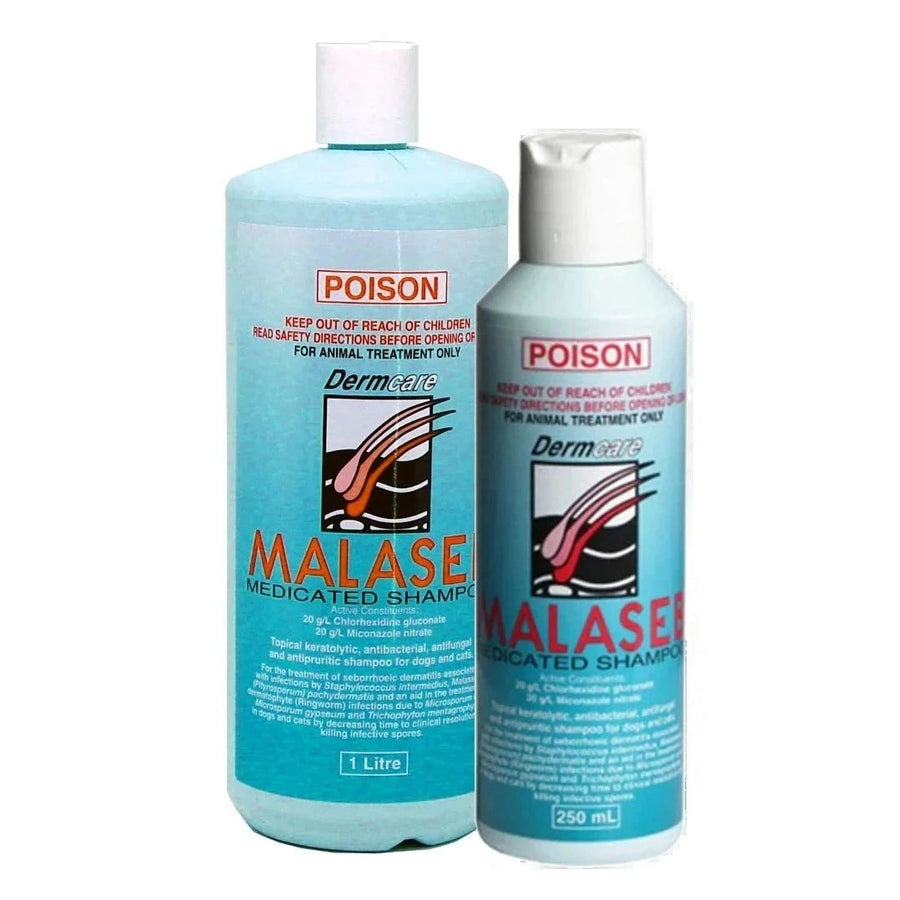Malaseb Medicated Shampoo 三條毛藥用洗毛液