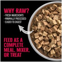 Nutrience_Sub_Zero_高蛋白凍乾生牛肉_南瓜配方_全犬