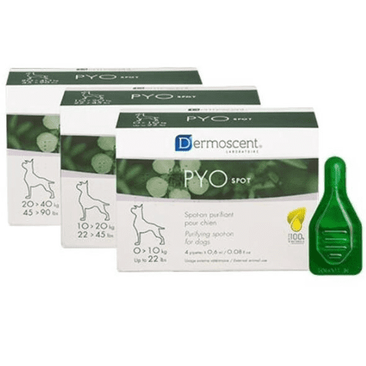 dermoscent_pyo_spot_for_dog